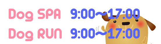 滋賀彦根 わんこの湯 営業時間